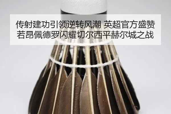 传射建功引领逆转风潮 英超官方盛赞若昂佩德罗闪耀切尔西平赫尔城之战
